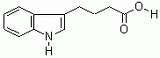 吲哚-3-丁酸;氮茚基丁酸;  英文名称: indole-3-butyric acid  分子式